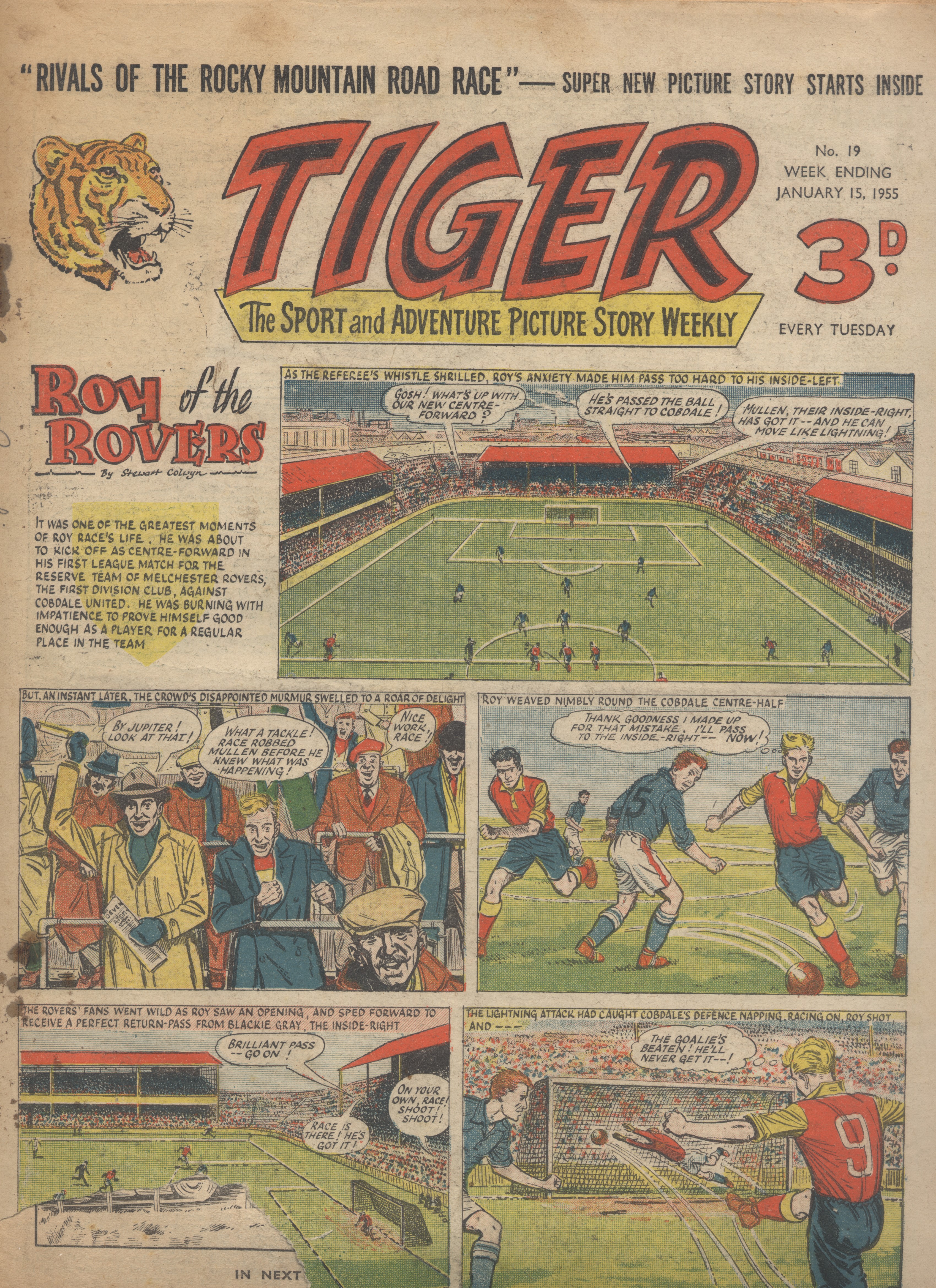 Tiger